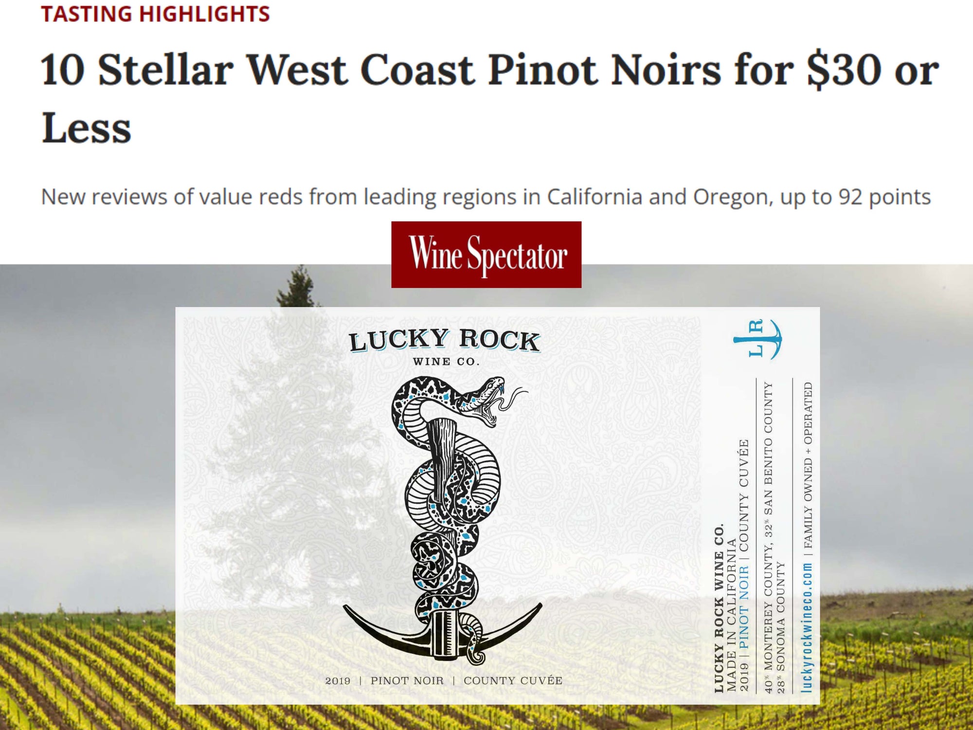 2019 Pinot Noir| Top 10 Stellar West Coast Pinot Noirs for $30 or Less